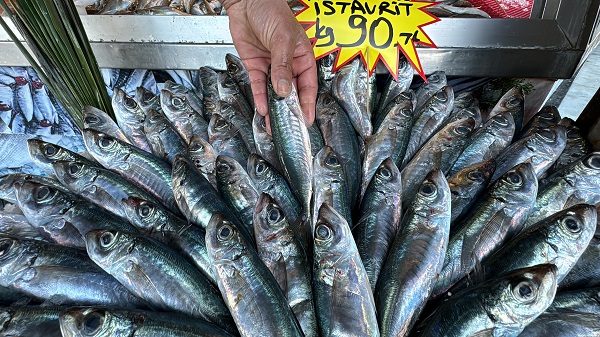 Foto - Azman balık bolluğu yaşanıyor