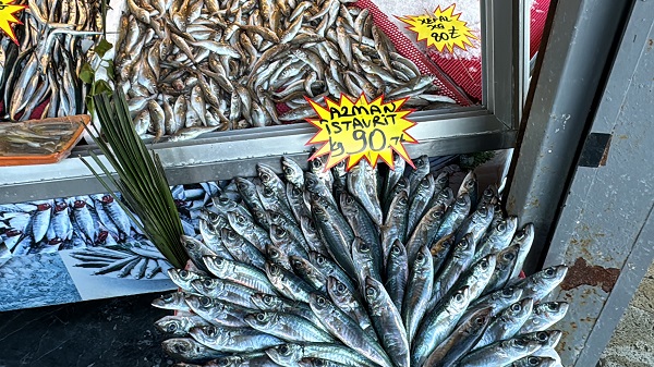 Foto - Azman balık bolluğu yaşanıyor