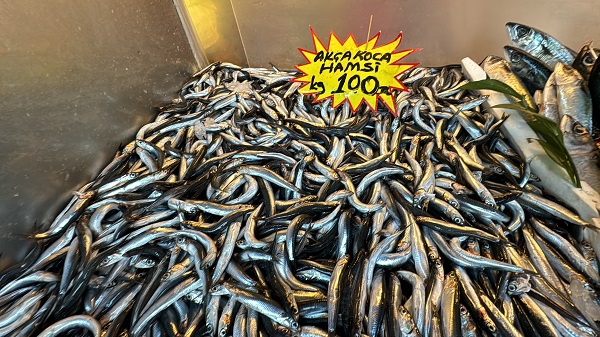 Foto - Azman balık bolluğu yaşanıyor