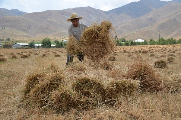 Foto - Azmin zaferi! İkisi de tıp kazandı