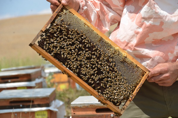 Foto - Azmin zaferi! İkisi de tıp kazandı