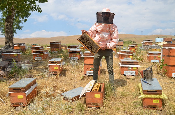 Foto - Azmin zaferi! İkisi de tıp kazandı
