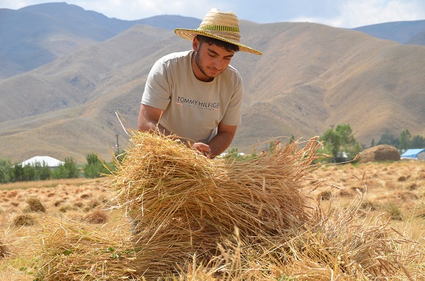 Azmin zaferi! İkisi de tıp kazandı