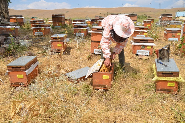 Foto - Azmin zaferi! İkisi de tıp kazandı