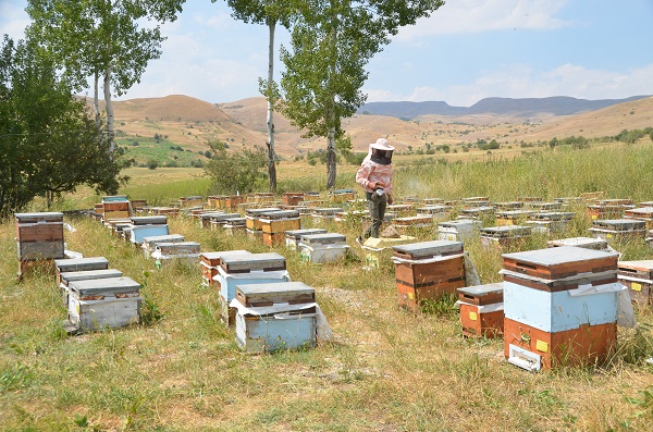 Foto - Azmin zaferi! İkisi de tıp kazandı