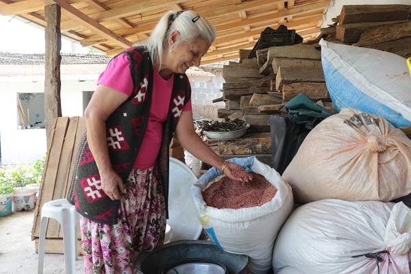 Foto - Azteklerin 'Ölümsüzlük bitkisi' Türkiye'de! Çölyak hastaları için yeni alternatif