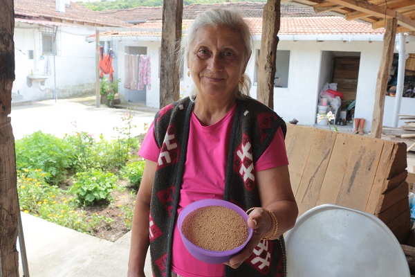 Foto - Azteklerin 'Ölümsüzlük bitkisi' Türkiye'de! Çölyak hastaları için yeni alternatif