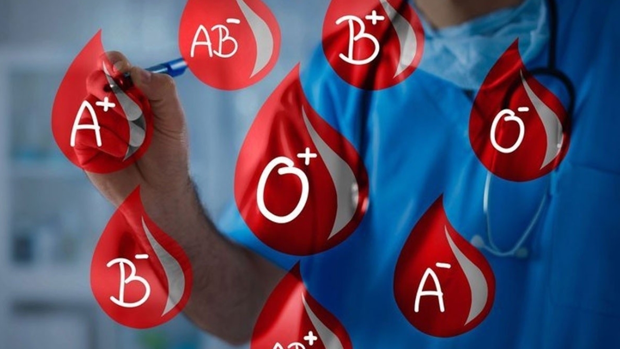 B Kan Grubu Sahiplerine Japonlardan müjde!