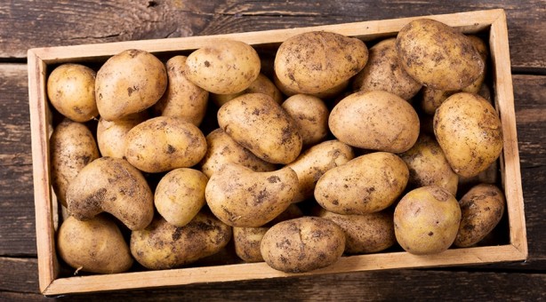 Foto - B vitamini deposu yiyecekler! Eksikliği kalıcı hasara yol açıyor