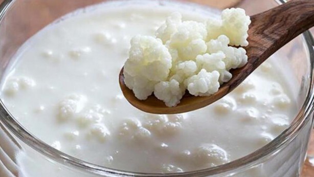 Foto - B12 vitamini deyip geçmeyin! Bu 3 besini mutlaka tüketin...