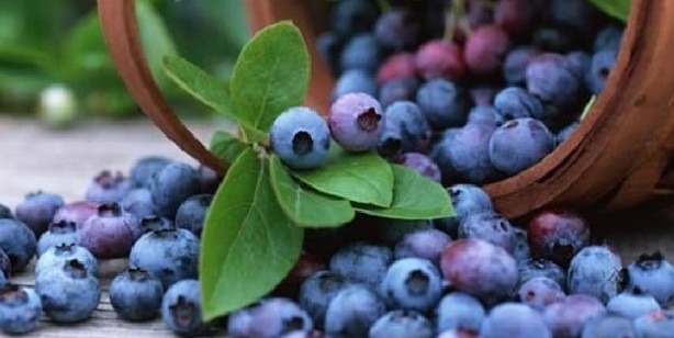 Foto - B12 vitamini hangi meyve ve sebzelerde bulunur?