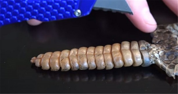 Foto - Baba ve oğullarının yaptığına bir bakın!