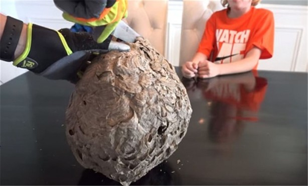 Foto - Baba ve oğullarının yaptığına bir bakın!