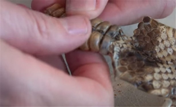 Foto - Baba ve oğullarının yaptığına bir bakın!