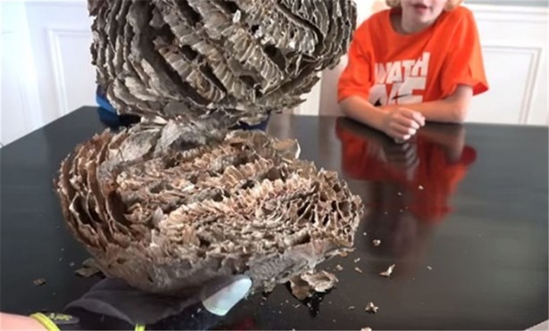 Foto - Baba ve oğullarının yaptığına bir bakın!