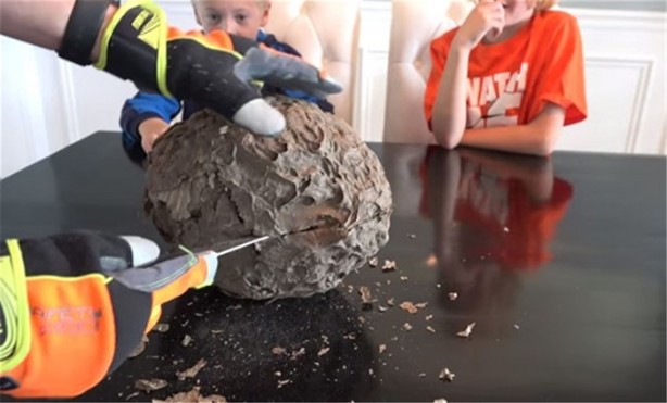 Foto - Baba ve oğullarının yaptığına bir bakın!