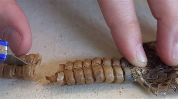 Foto - Baba ve oğullarının yaptığına bir bakın!