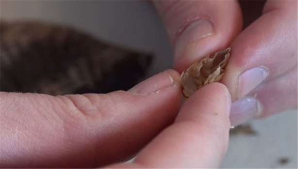 Foto - Baba ve oğullarının yaptığına bir bakın!