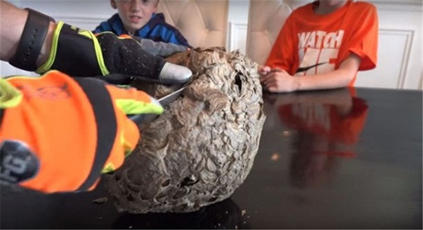 Foto - Baba ve oğullarının yaptığına bir bakın!