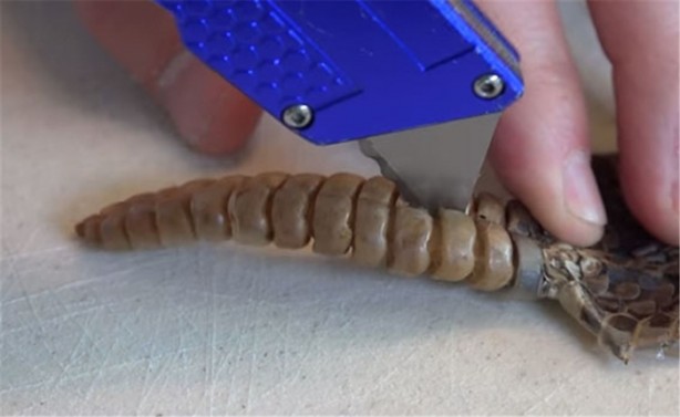 Foto - Baba ve oğullarının yaptığına bir bakın!