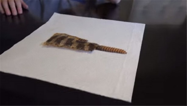 Foto - Baba ve oğullarının yaptığına bir bakın!