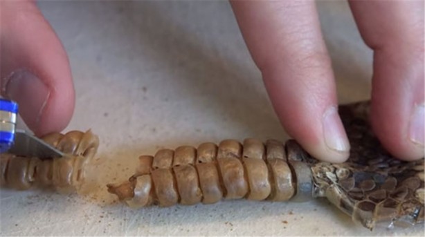 Foto - Baba ve oğullarının yaptığına bir bakın!