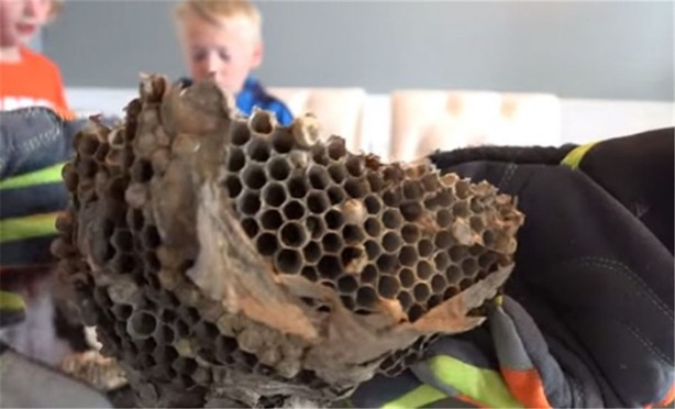 Foto - Baba ve oğullarının yaptığına bir bakın!