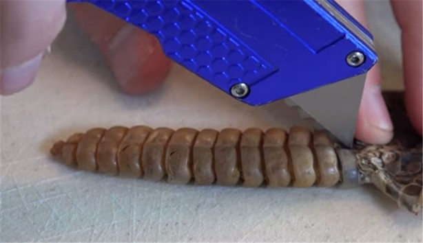 Foto - Baba ve oğullarının yaptığına bir bakın!