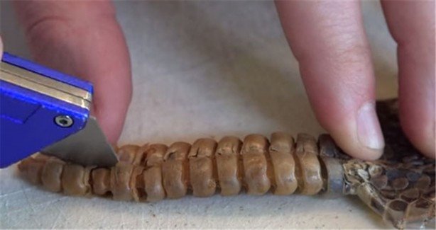 Foto - Baba ve oğullarının yaptığına bir bakın!