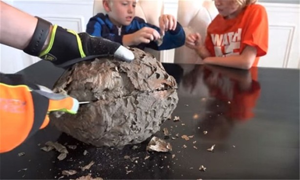 Foto - Baba ve oğullarının yaptığına bir bakın!