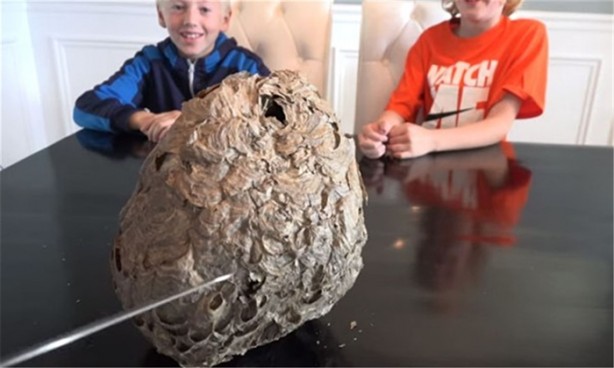 Foto - Baba ve oğullarının yaptığına bir bakın!