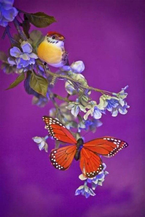 Foto - Babadan kızına dillere destan sürpriz