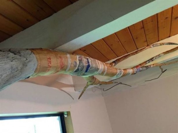 Foto - Babadan kızına dillere destan sürpriz