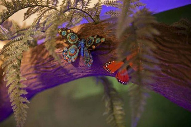 Foto - Babadan kızına muhteşem sürpriz