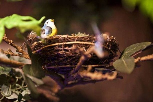 Foto - Babadan kızına muhteşem sürpriz