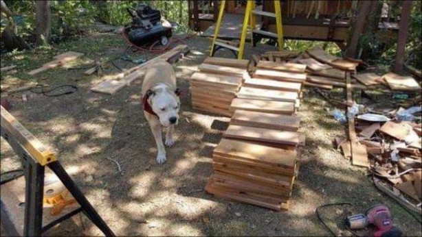 Foto - Babasından kızına müthiş sürpriz