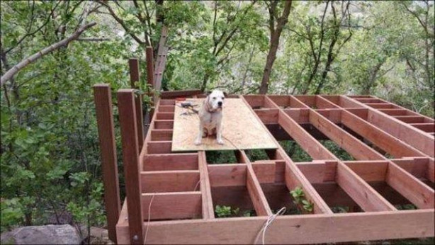 Foto - Babasından kızına müthiş sürpriz