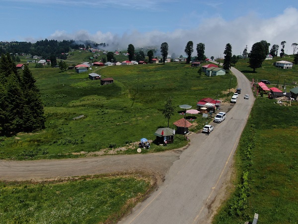 Foto - Babasını o yaylada kaybetti! 600 rakımlı yaylada şifa dağıtıyor