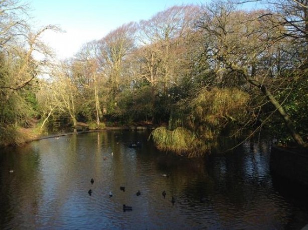 Foto - Bacağı çizilen adam hayatını kaybetti! Ortaya çıkan gerçek şoke etti