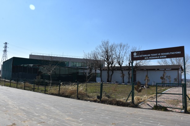 Foto - Bacağı kopan kızıl şahine kauçuk protez yapıldı