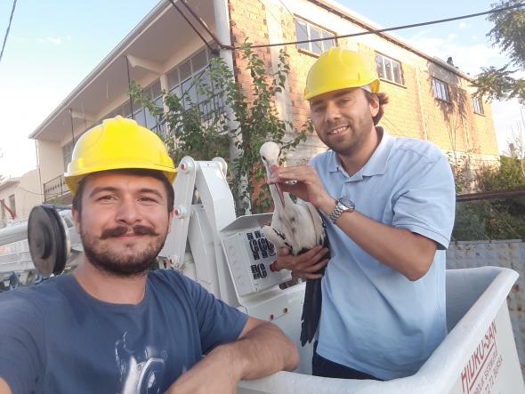 Foto - Bacağındaki gümüş halka her şeyi ortaya çıkardı! Leyleğin garip hikayesi