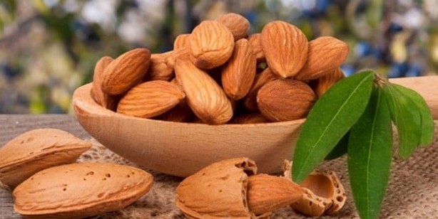 Foto - Badem: Kemik erimesini önlüyor yorgunluğu gideriyor