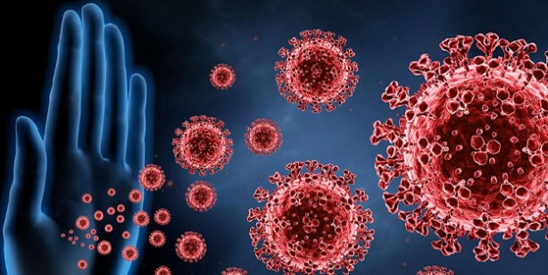 Foto - Badem: Kemik erimesini önlüyor yorgunluğu gideriyor