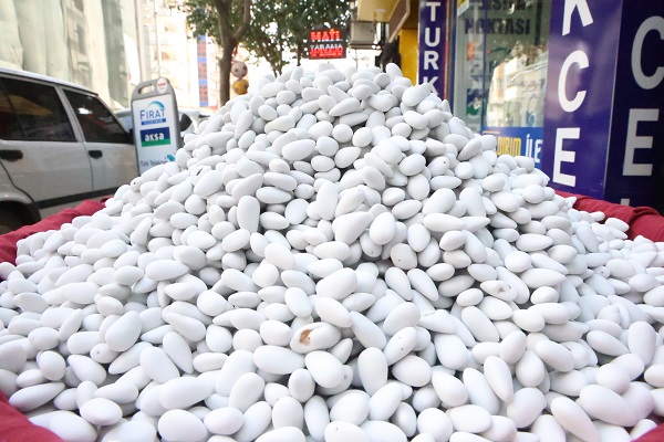 Foto - Bademin meşakkatli şeker yolculuğu