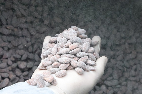 Foto - Bademin meşakkatli şeker yolculuğu