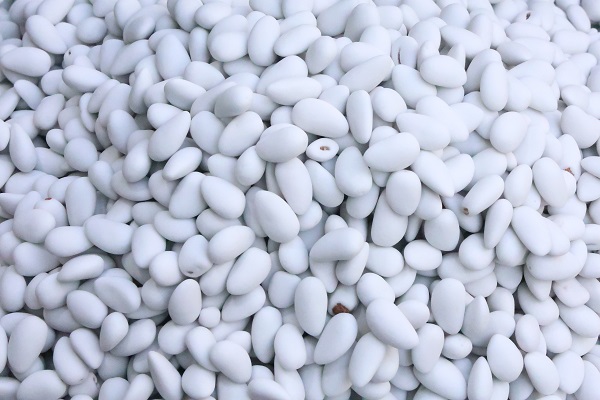 Foto - Bademin meşakkatli şeker yolculuğu