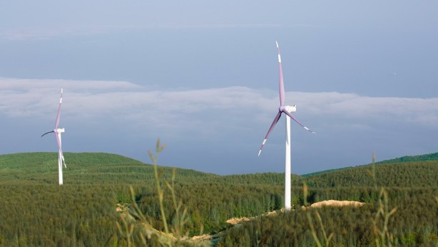 Foto - BAE lideri Zayed'den Türkiye uyanıklığı! Türk şirketini ölü fiyattan almak isteyince olanlar oldu