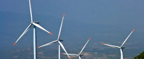 Foto - BAE lideri Zayed'den Türkiye uyanıklığı! Türk şirketini ölü fiyattan almak isteyince olanlar oldu