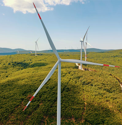 Foto - BAE lideri Zayed'den Türkiye uyanıklığı! Türk şirketini ölü fiyattan almak isteyince olanlar oldu