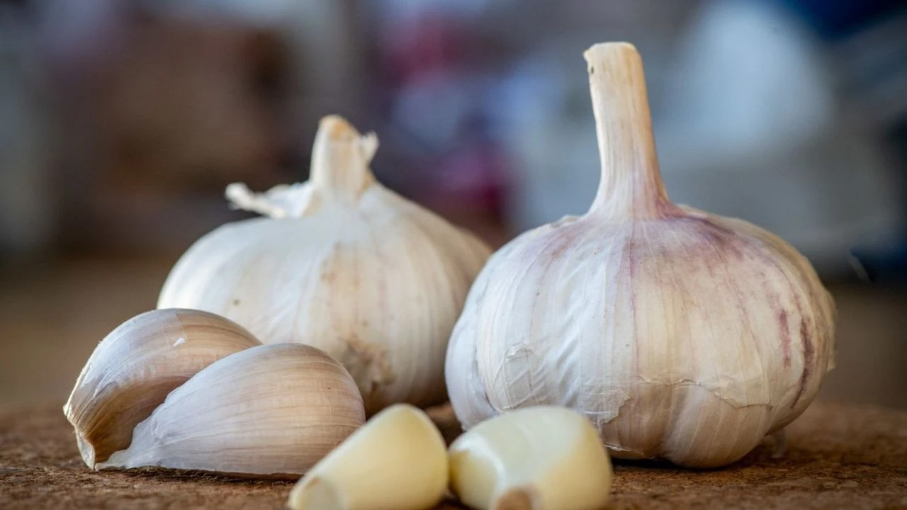 Hangi çay iyi gelir? Karanfil çayı zayıflatır mı? 